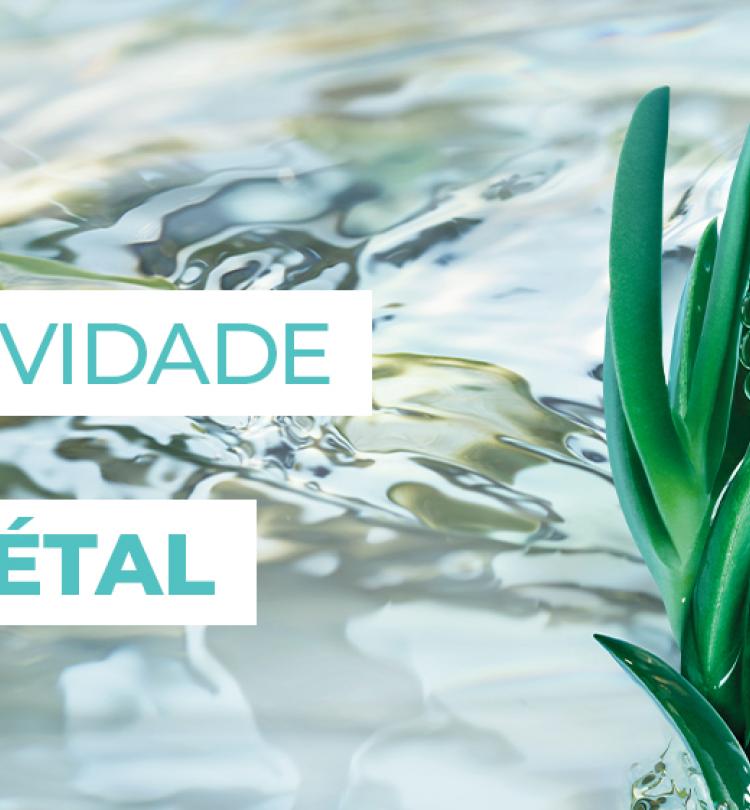 pop up store colombo banner 2 desktop